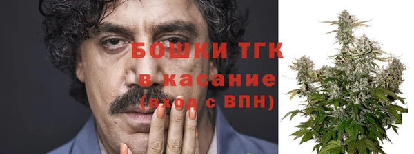 бошки Елабуга