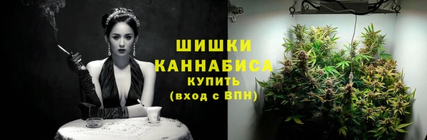 бошки Елабуга