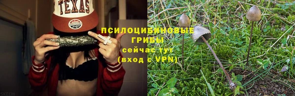 бошки Елабуга
