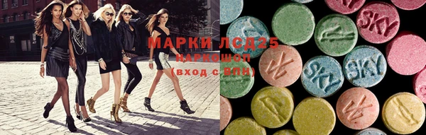 spice Ельня