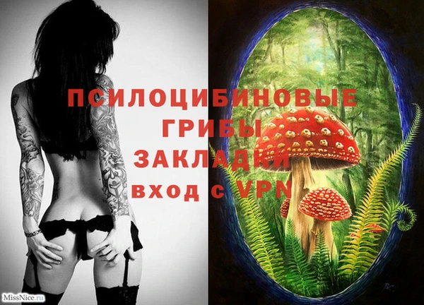 spice Ельня