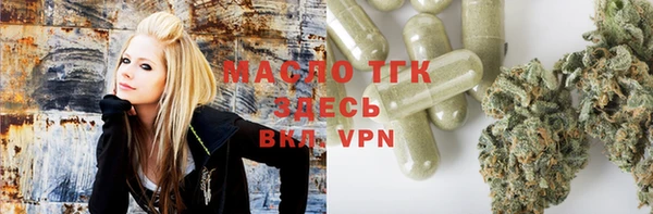 spice Ельня