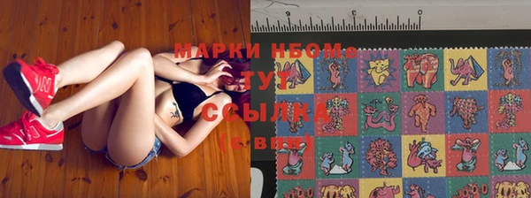 бошки Елабуга