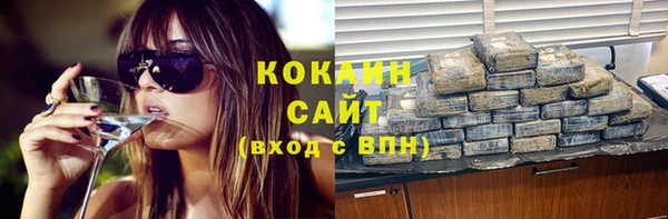 spice Ельня