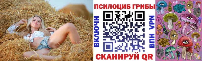 наркошоп Сургут Галлюциногенные грибы прущие грибы